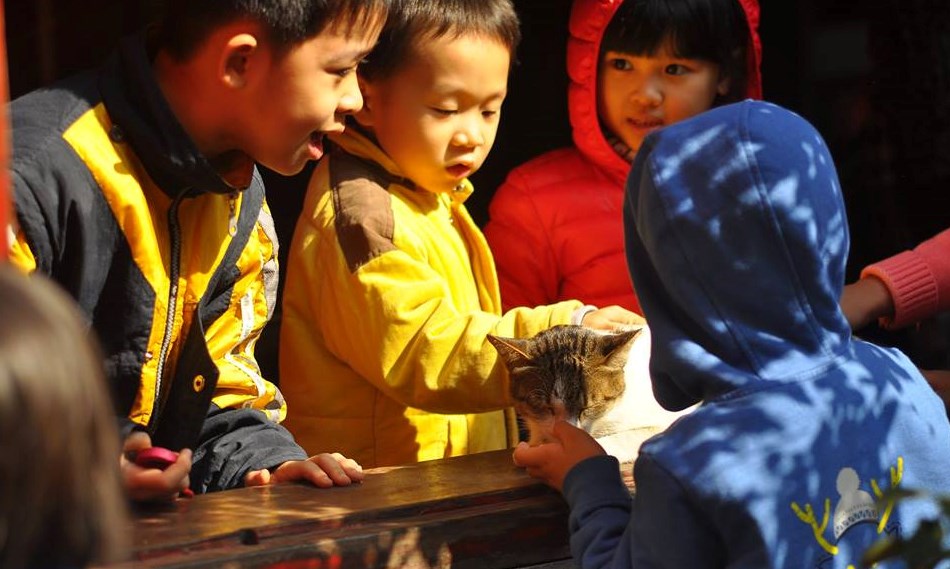 Dạy con biết yêu thương, trân trọng sinh mệnh